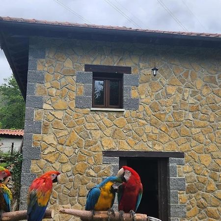 Casa Dona Lola Βίλα Onís Εξωτερικό φωτογραφία