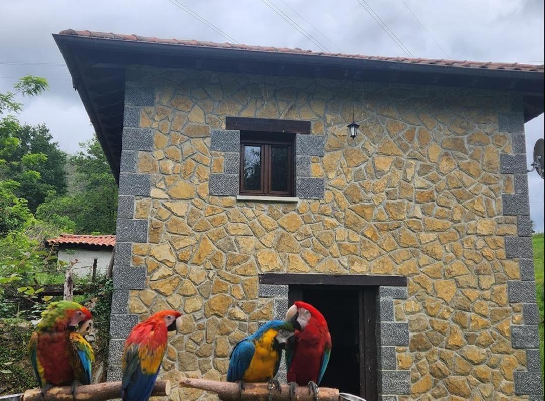 Casa Dona Lola Βίλα Onís Εξωτερικό φωτογραφία